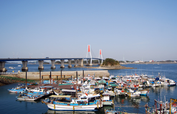 ���ﵵ����